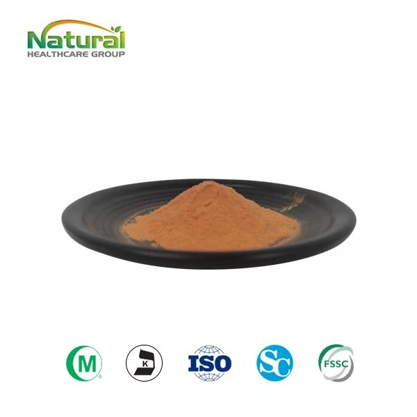 Marigold Extract Powder Lutein 20% Marigold Extract Powder Lutein 20%