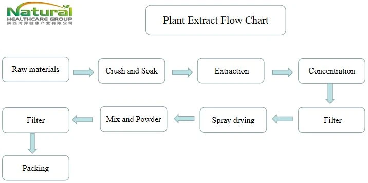 flow chart