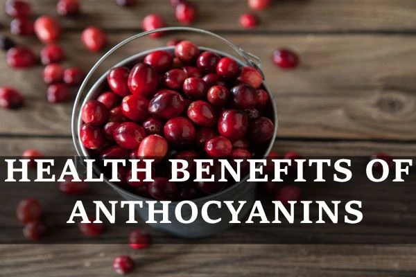 Anthocyanin Powder Benefits