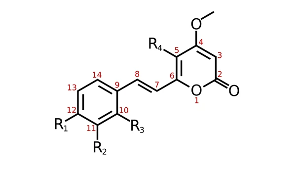 Kava root extract Kavalactone