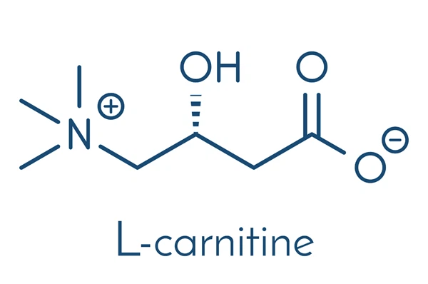 l-carnitine structure l-carnitine structure