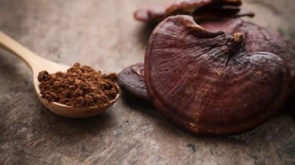 Wofür wird Reishi-Pilz-Extrakt verwendet?