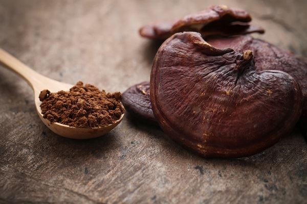 Was ist die Anwendung von Reishi-Pilz?