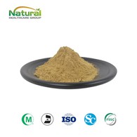 Bockshornkleesamen-Extrakt-Pulver