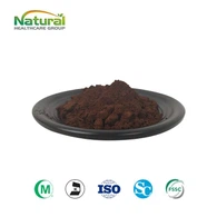 Ganoderma-Pulver