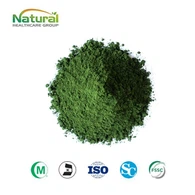 Bulk-Chlorella-Pulver