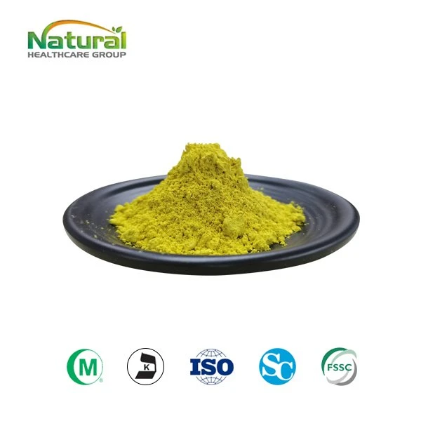 Quercetin 98 Prozent